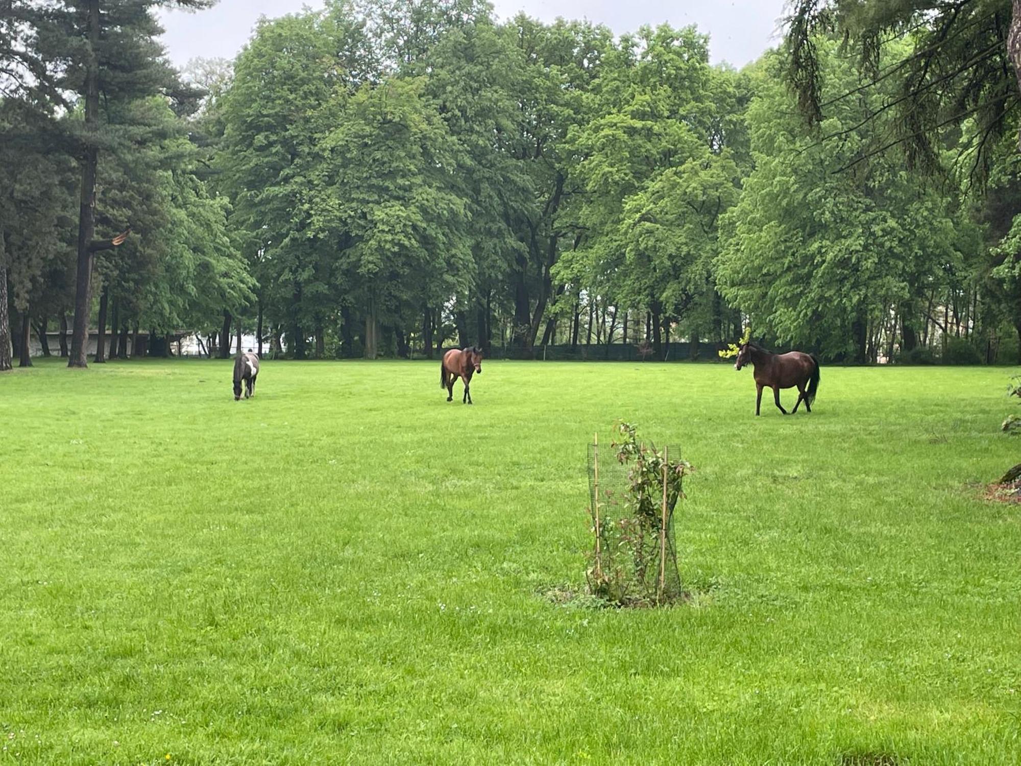 Palac Zbylitowskich Zbylitowska Gora Exteriér fotografie